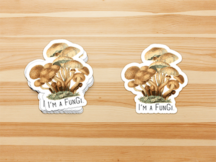 I'm a Fungi Sticker